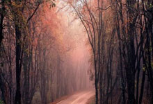 九球体育官网：两失误葬送拜仁好局面 理解金玟哉的只剩韩国球迷了.