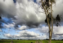 希望无碍，记者：维尼修斯因身体不适缺席了皇马今日合练.