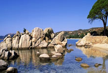 九球体育官网：助阿根廷41大胜巴西，朱利亚诺西蒙尼打进国家队处子球.